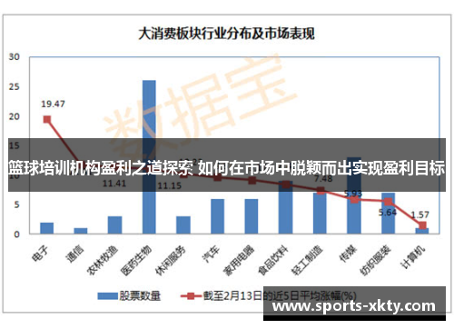 篮球培训机构盈利之道探索 如何在市场中脱颖而出实现盈利目标