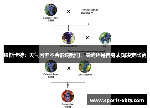 穆斯卡特：天气因素不会影响我们，最终还是自身表现决定比赛